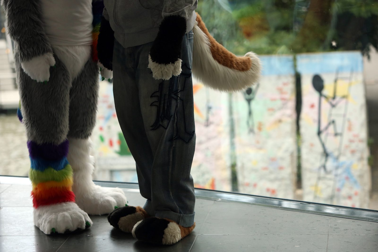 What Does Furry Mean in LGBTQ?