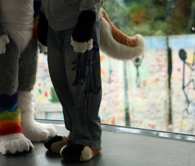 What Does Furry Mean in LGBTQ?
