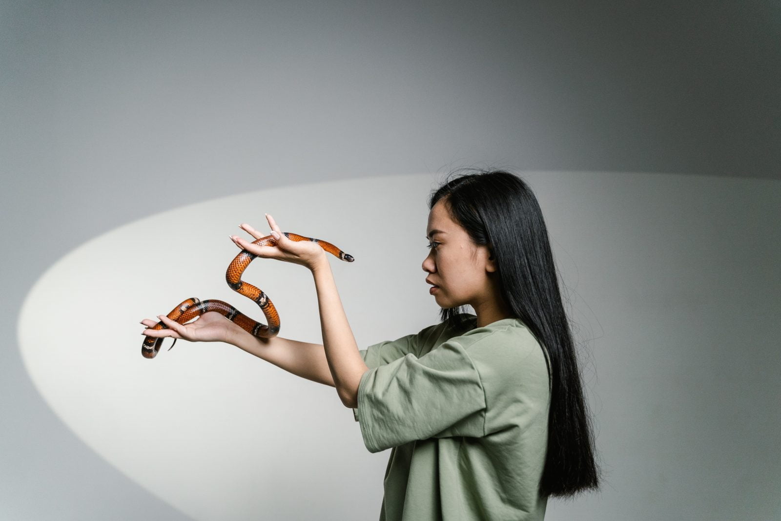 Fear of Snakes: Understanding Ophidiophobia and How to Overcome it