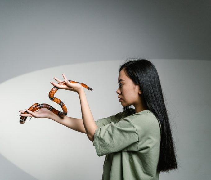 Fear of Snakes: Understanding Ophidiophobia and How to Overcome it
