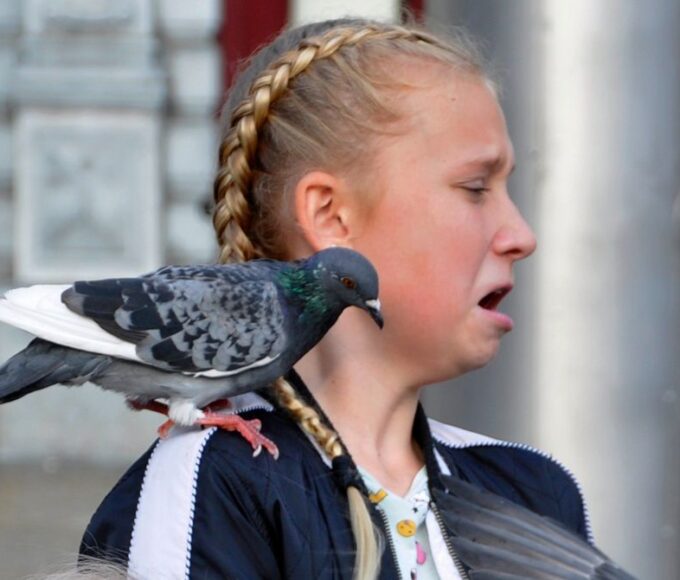 Overcoming Bird Phobia: Understanding the Fear of Birds and Conquering Ornithophobia