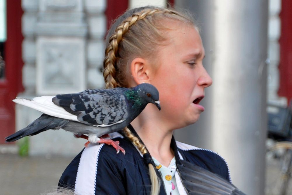 Overcoming Bird Phobia: Understanding the Fear of Birds and Conquering Ornithophobia