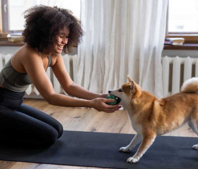 Animal Phobia(Zoophobia): Understanding, Treatment, and Breaking the Stigma